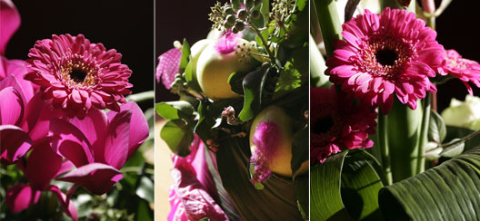 compo-florale1.jpg