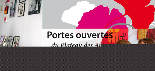 expo-plateaudesarts-bouanane.jpg