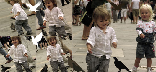 Gaspard à la chasse aux pigeons Place Saint-Marc