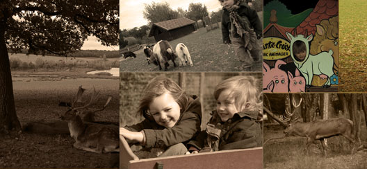 parc animalier de Sainte Croix