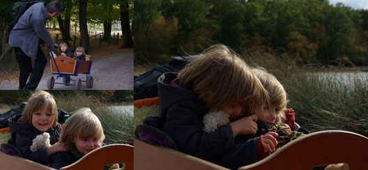 parc animalier de Sainte Croix