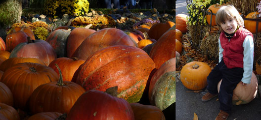 Europa park, Halloween et toutes les citrouilles pour l’occas